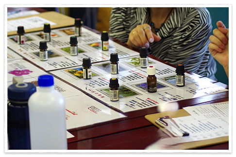 Making Aroma Bug Spray