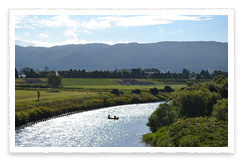 Early Morning Down River