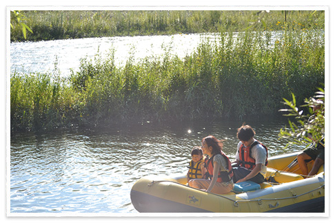 Early Morning Down River