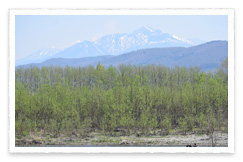 Relax Down River Tour